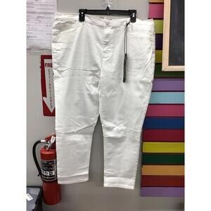 Diane Gilman dg2 womens straight stretch jeans size 22 petite white new HSN
